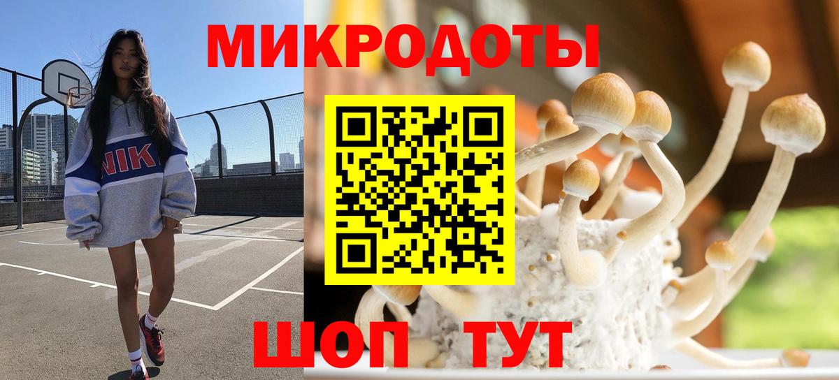 Галлюциногенные грибы GOLDEN TEACHER Уссурийск