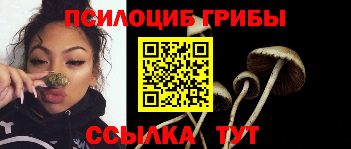 Уссурийск  Псилоцибиновые грибы Psilocybine cubensis  Вход с VPN 